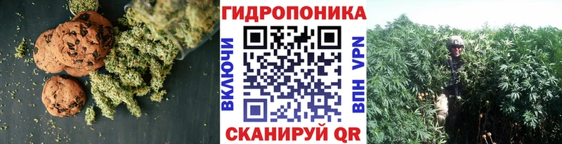 Cannafood марихуана  Почеп 