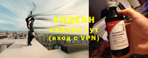 гашик Няндома