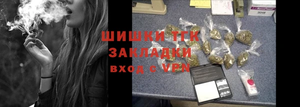 гашик Няндома