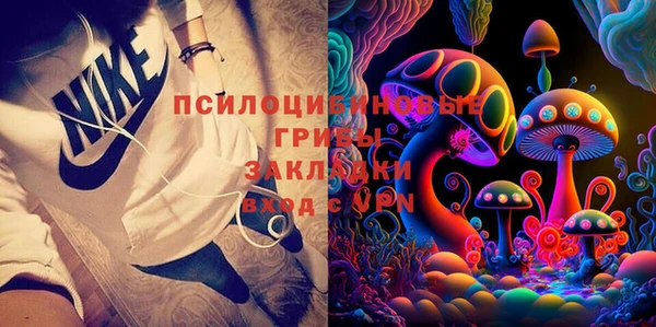 гашик Няндома