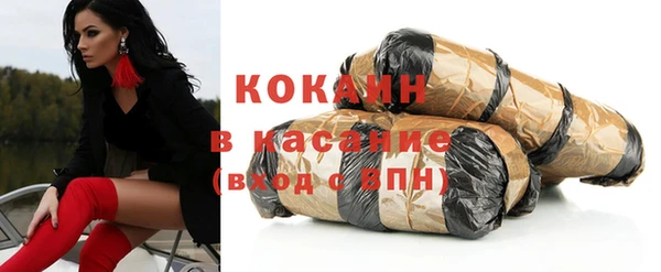 гашик Няндома