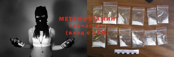 гашик Няндома