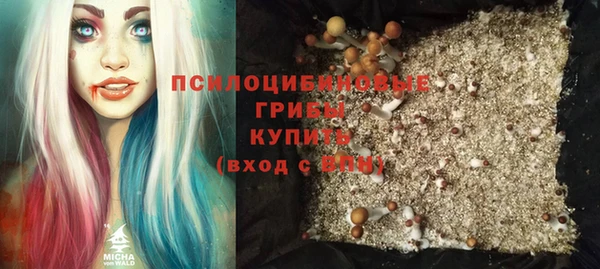 винт Нягань