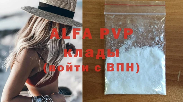 гашик Няндома