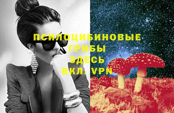гашик Няндома