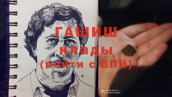 гашик Няндома