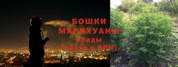 гашик Няндома