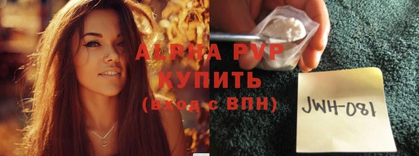 сатива Новокубанск