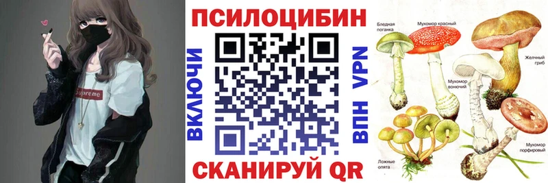 где продают наркотики  Почеп  Псилоцибиновые грибы Psilocybine cubensis 